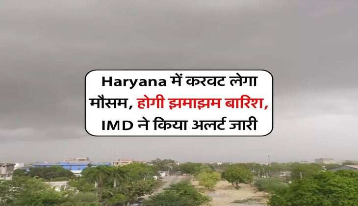 Haryana में करवट लेगा मौसम, होगी झमाझम बारिश, IMD ने किया अलर्ट जारी