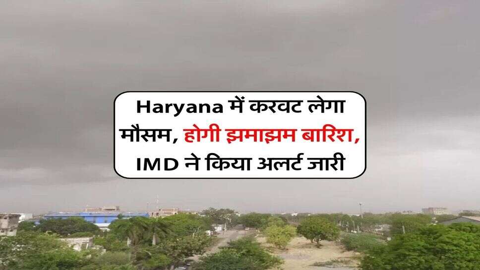 Haryana में करवट लेगा मौसम, होगी झमाझम बारिश, IMD ने किया अलर्ट जारी