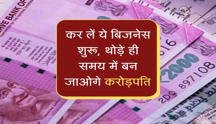 कर लें ये बिजनेस शुरू, थोड़े ही समय में लखपति नहीं बन जाओगे करोड़पति&nbsp;