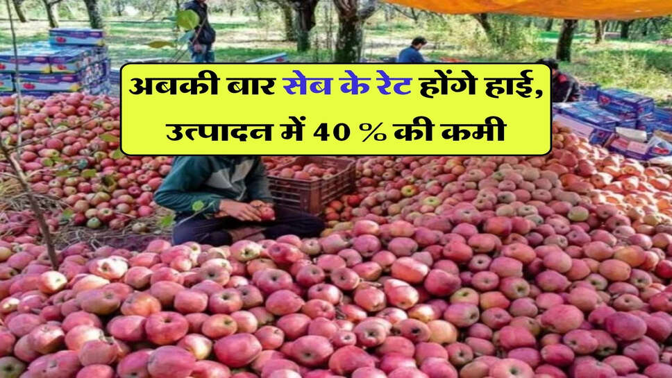 अबकी बार सेब के रेट होंगे हाई, उत्पादन में 40 % की कमी