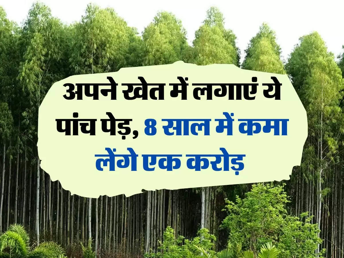 Business Idea : अपने खेत में लगाएं ये पांच पेड़, 8 साल में कमा लेंगे एक करोड़ 