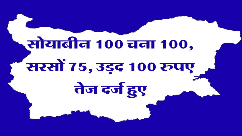Kota Mandi ka bhav: सोयाबीन 100 चना 100, सरसों 75, उड़द 100 रुपए&nbsp;तेज दर्ज हुए