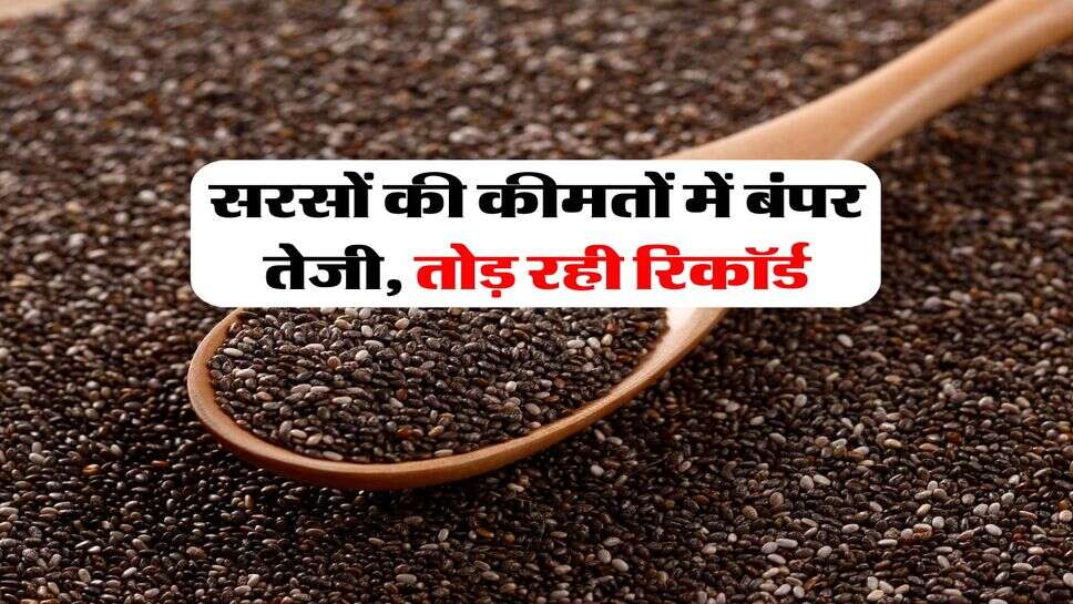 Sarso Mandi Bhav : सरसों की कीमतों में बंपर तेजी, तोड़ रही रिकॉर्ड