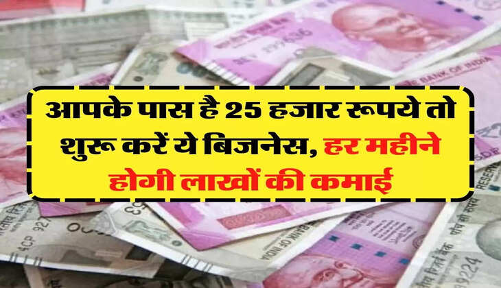 Business Idea: आपके पास है 25 हजार रूपये तो शुरू करें ये बिजनेस, हर महीने होगी लाखों की कमाई