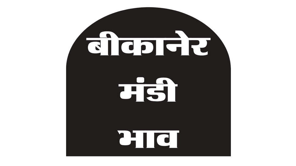 बीकानेर मंडी भाव 31 अक्टूबर 2026: मूंगफली सिकाई में तेजी, गेहूं और खड़बा में मंदी