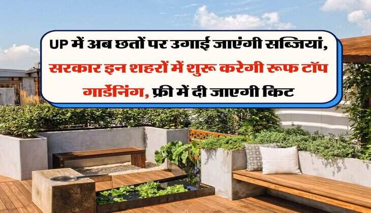 UP में अब छतों पर उगाई जाएंगी सब्जियां, सरकार इन शहरों में शुरू करेगी रूफ टॉप गार्डेनिंग, फ्री में दी जाएगी किट