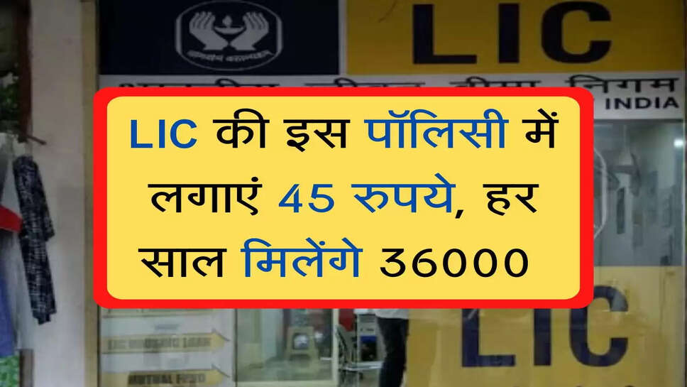 LIC की इस पाॅलिसी में लगाएं 45 रुपये, हर साल मिलेंगे 36000 