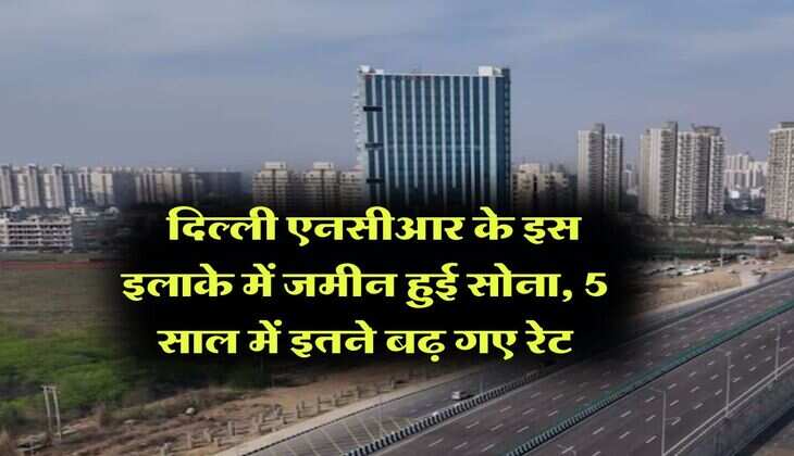 Delhi NCR : दिल्ली एनसीआर के इस इलाके में जमीन हुई सोना, 5 साल में इतने बढ़ गए रेट