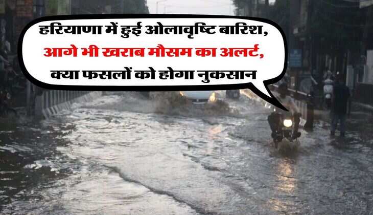 Haryana Rain Alert : हरियाणा में हुई ओलावृष्टि बारिश, आगे भी खराब मौसम का अलर्ट, क्या फसलों को होगा नुकसान