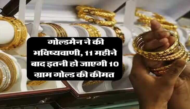 Gold Rate 2026 : गोल्डमैन ने की भविष्यवाणी, 11 महीने बाद इतनी हो जाएगी 10 ग्राम गोल्ड की कीमत&nbsp;