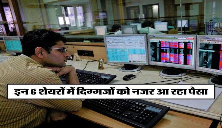 इन 6 शेयरों में दिग्गजों को नजर आ रहा पैसा