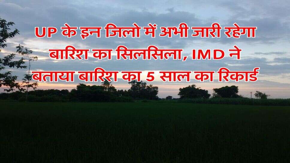 UP के इन जिलो में अभी जारी रहेगा बारिश का सिलसिला, &nbsp;IMD ने बताया बारिश का 5 साल का रिकार्ड