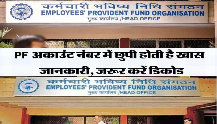 EPFO कर्मचारी जरूर पढ़े ये खबर, PF अकाउंट नंबर में छुपी होती है खास जानकारी, जरूर करें डिकोड