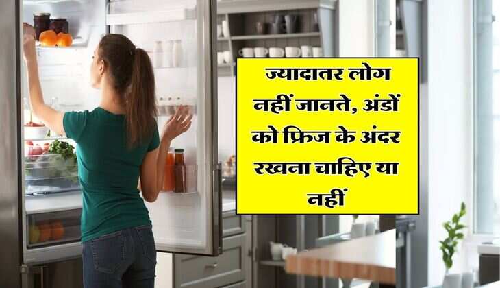 Egg Storage : ज्यादातर लोग नहीं जानते, अंडों को फ्रिज के अंदर रखना चाहिए या नहीं