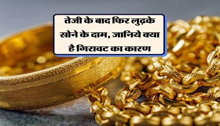 Gold Price : तेजी के बाद फिर लुढ़के सोने के दाम, जानिये क्या है गिरावट का कारण