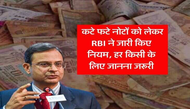 RBI Rule for Damage Note : कटे फटे नोटों को लेकर RBI ने जारी किए नियम, हर किसी के लिए जानना जरूरी
