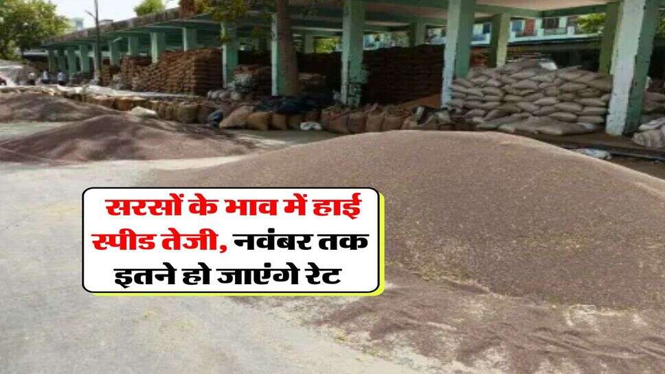 Sarso Rate : सरसों के भाव में हाई स्पीड तेजी, नवंबर तक इतने हो जाएंगे रेट&nbsp;