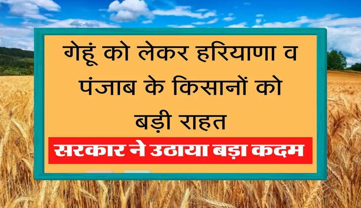 Wheat Purchase Update गेहूं को लेकर हरियाणा व पंजाब के किसानों को बड़ी राहत, केंद्र सरकार ने उठाया बड़ा कदम
