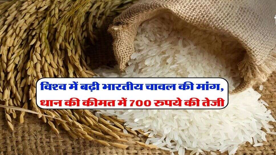 विश्व में बढ़ी भारतीय चावल की मांग, धान की कीमत में 700 रुपये की तेजी