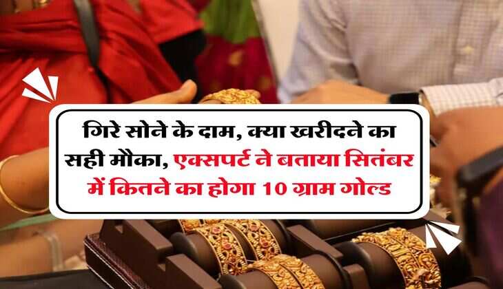 Gold Rate : गिरे सोने के दाम, क्या खरीदने का सही मौका, एक्सपर्ट ने बताया सितंबर में कितने का होगा 10 ग्राम गोल्ड