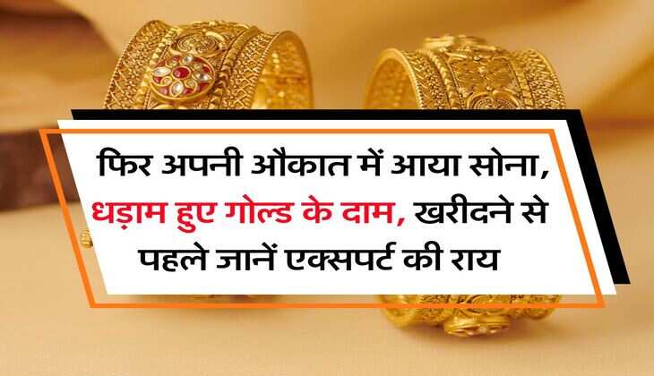 Gold Rate : फिर अपनी औकात में आया सोना, धड़ाम हुए गोल्ड के दाम, खरीदने से पहले जानें एक्सपर्ट की राय