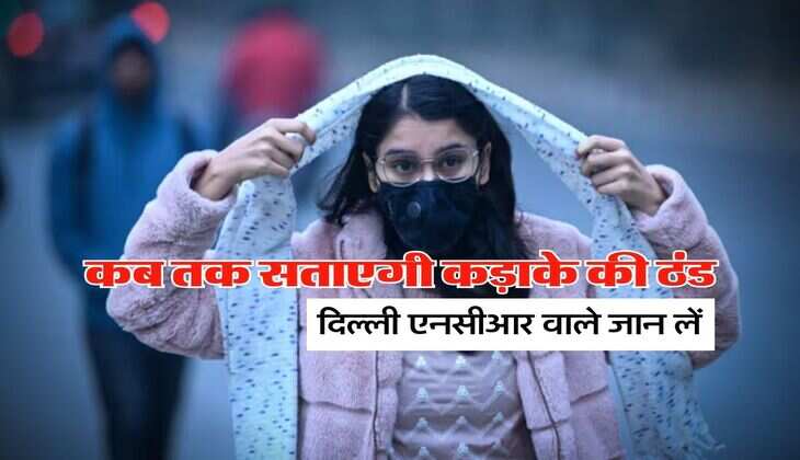 Delhi NCR Weather : कब तक सताएगी कड़ाके की ठंड, दिल्ली एनसीआर वाले जान लें अगले 5 दिन का मौसम