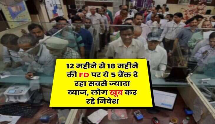 12 महीने से 18 महीने की FD पर ये 5 बैंक दे रहा सबसे ज्यादा ब्याज, लोग खूब कर रहे निवेश