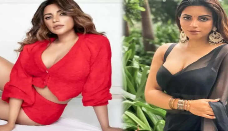 40 साल की उम्र में भी शमा की नहीं ढली जवानी, फैंस की दिलों में लगाई आग