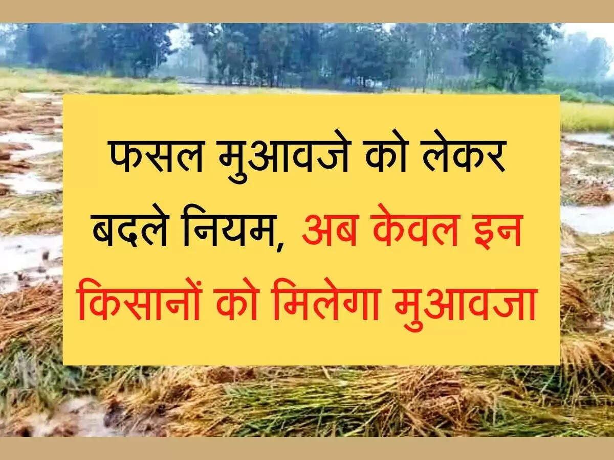 New Rule for poor crop compensation in haryan फसल मुआवजे को लेकर सरकार ने बदले नियम, अब केवल इन किसानों को मिलेगा मुआवजा