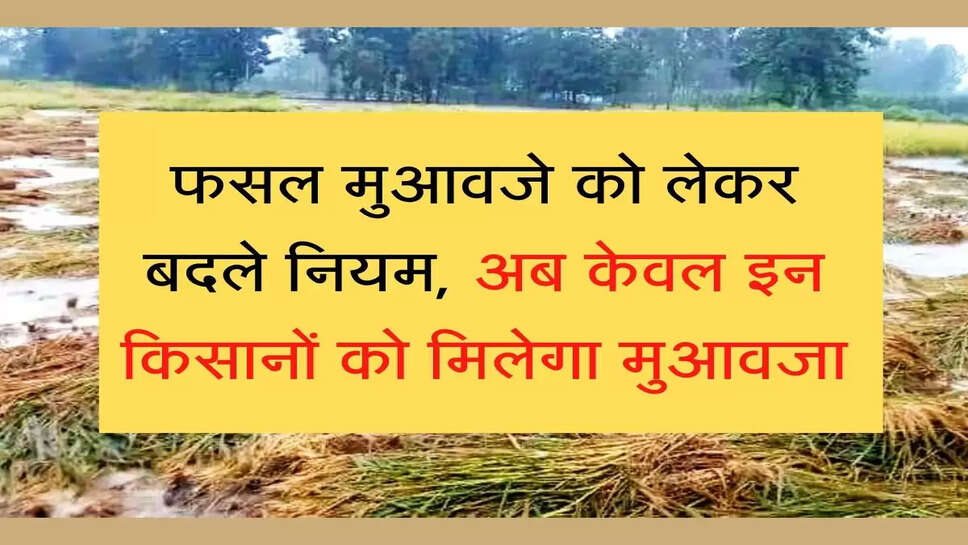 New Rule for poor crop compensation in haryan फसल मुआवजे को लेकर सरकार ने बदले नियम, अब केवल इन किसानों को मिलेगा मुआवजा