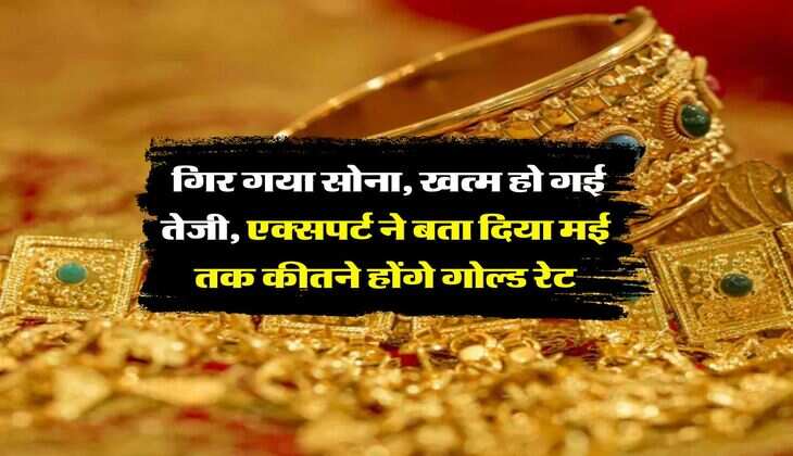 MCX Gold Rate Down : गिर गया सोना, खत्म हो गई तेजी, एक्सपर्ट ने बता दिया मई तक कीतने होंगे गोल्ड रेट