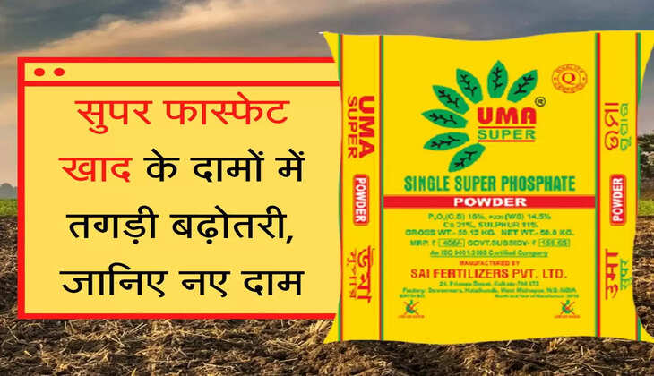 super phosphate fertilizer khad latest Price सुपर फास्फेट खाद के दामों में तगड़ी बढ़ोतरी, जानिए नए दाम
