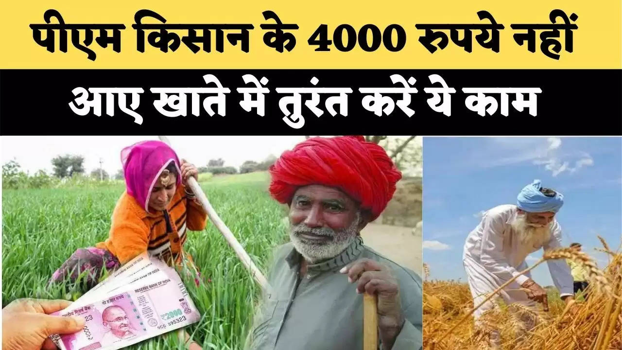  पीएम किसान के 4000 रुपये नहीं आए खाते में? तुरंत करें ये काम