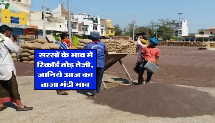 Sarso Rate : सरसों के भाव में रिकॉर्ड तोड़ तेजी, जानिये आज का ताजा मंडी भाव
