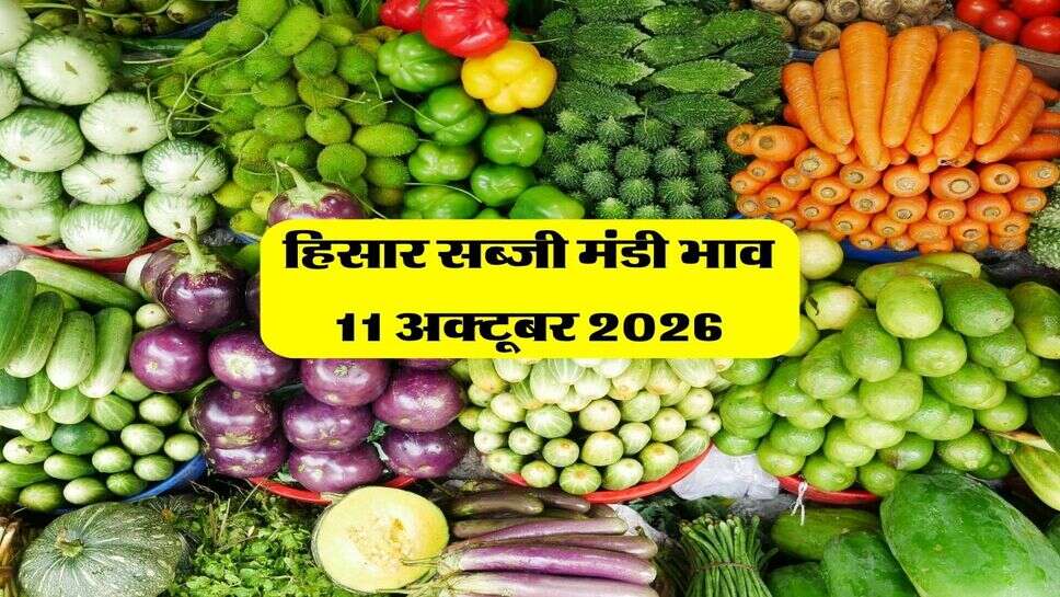 हिसार सब्जी मंडी भाव 11 अक्टूबर 2026