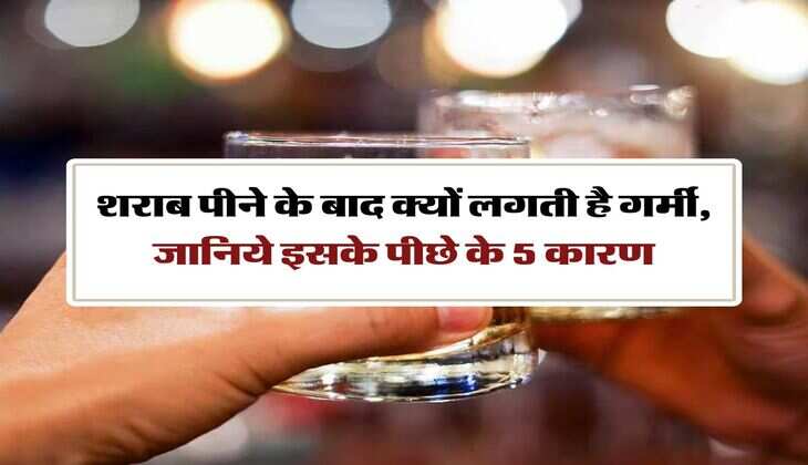 Whiskey : शराब पीने के बाद क्यों लगती है गर्मी, जानिये इसके पीछे के 5 कारण