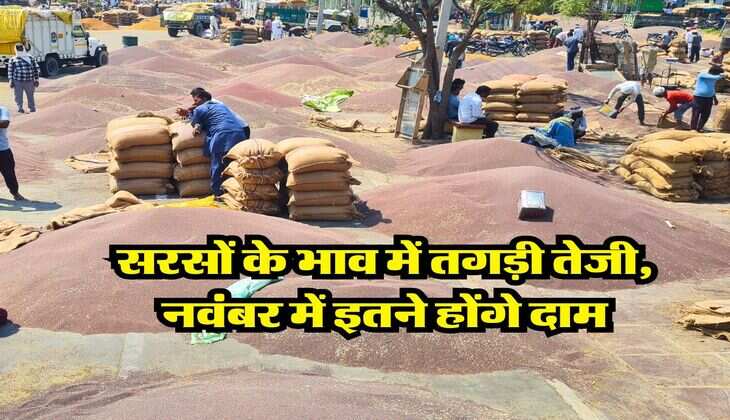 sarso rate hike : सरसों के भाव में तगड़ी तेजी, नवंबर में इतने होंगे दाम