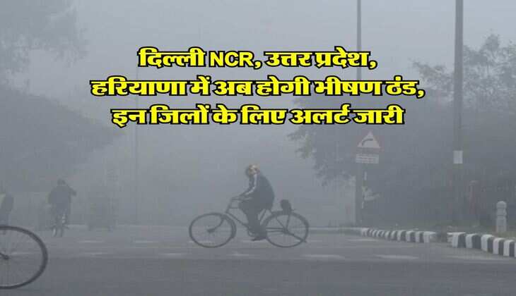 Kal Ka mausam : दिल्ली NCR, उत्तर प्रदेश, हरियाणा में अब होगी भीषण ठंड, इन जिलों के लिए अलर्ट जारी