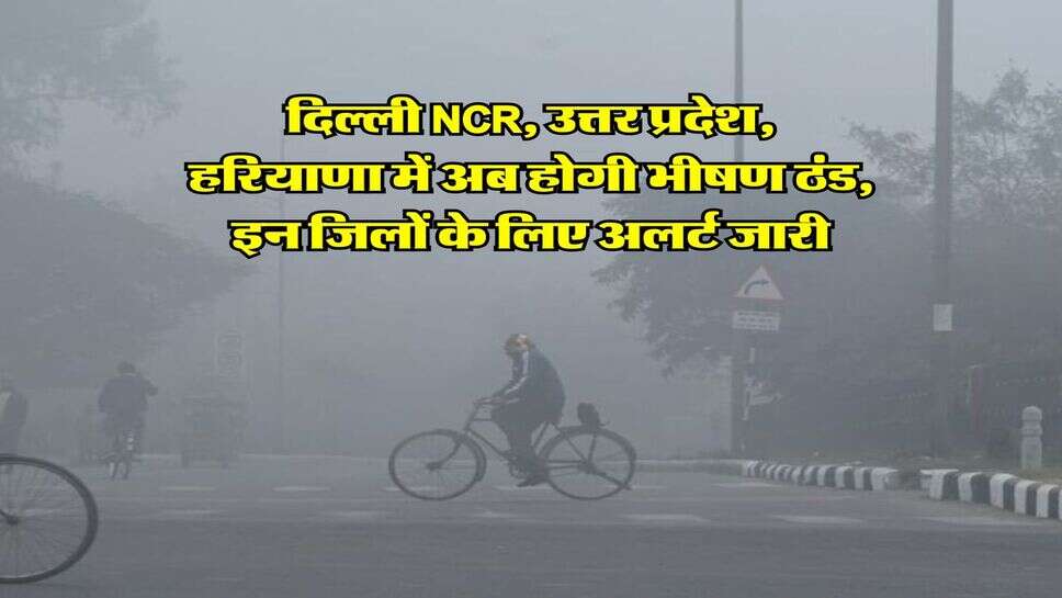 Kal Ka mausam : दिल्ली NCR, उत्तर प्रदेश, हरियाणा में अब होगी भीषण ठंड, इन जिलों के लिए अलर्ट जारी