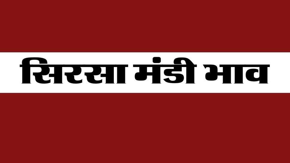 सिरसा मंडी भाव 25 अक्टूबर 2026 : देसी कपास 9000 से नीचे, नरम 9100 से ऊपर, मंडी में आवक तेज