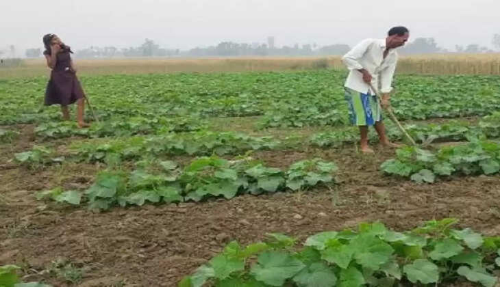 Business News : PM Kisan: लाभार्थी के स्टेटस में लिखा है Waiting for approval by state तो इसका ये मतलब