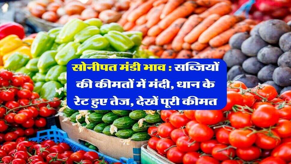सोनीपत मंडी भाव : सब्जियों की कीमतों में मंदी, धान के रेट हुए तेज, देखें पूरी कीमत