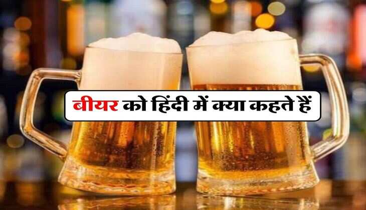 Alcohol Facts : बीयर को हिंदी में क्या कहते हैं, जानिये दुनिया की सबसे स्ट्रॉन्ग बीयर कौन सी