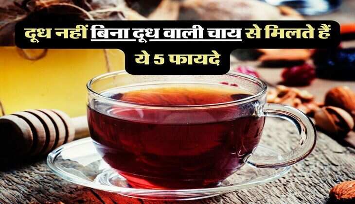 Drinking Tea Benefits : दूध नहीं बिना दूध वाली चाय से मिलते हैँ ये 5 फायदे