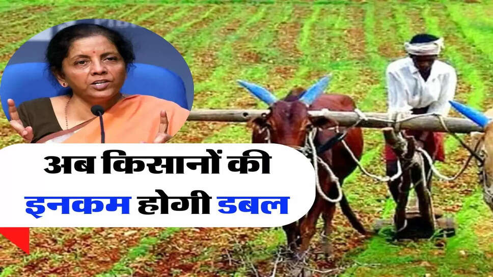 PM Kisan: अब किसानों की इनकम होगी डबल, जानिए वित्तमंत्री का नया प्लान&nbsp;