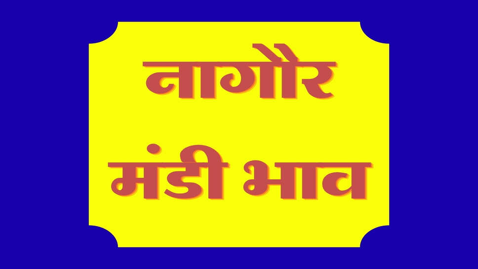 नागौर मंडी भाव 28 अक्टूबर 2026: जीरा, सौंफ, मोठ और तिल तेज, ईसबगोल मंदा