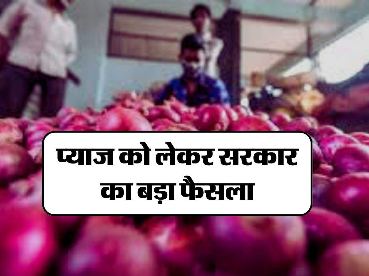Onion Price :  प्याज को लेकर सरकार का बड़ा फैसला, आम जनता और किसानों को राहत