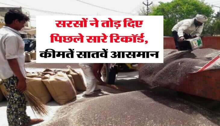 sarso rate today : सरसों ने तोड़ दिए पिछले सारे रिकॉर्ड, कीमतें सातवें आसमान