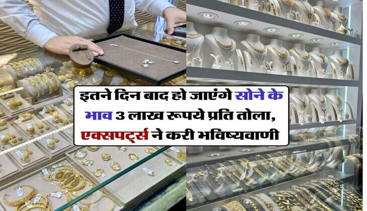 Gold silver price : इतने दिन बाद हो जाएंगे सोने के भाव 3 लाख रूपये प्रति तोला, एक्सपर्ट्स ने करी भविष्यवाणी