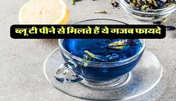 ब्लू टी पीने से मिलते हैं ये गजब फायदे, ग्रीन टी से बिल्कुल अलग है ये पेय पदार्थ